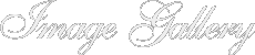 Gallery Title Text Graphic